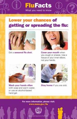 flu facts